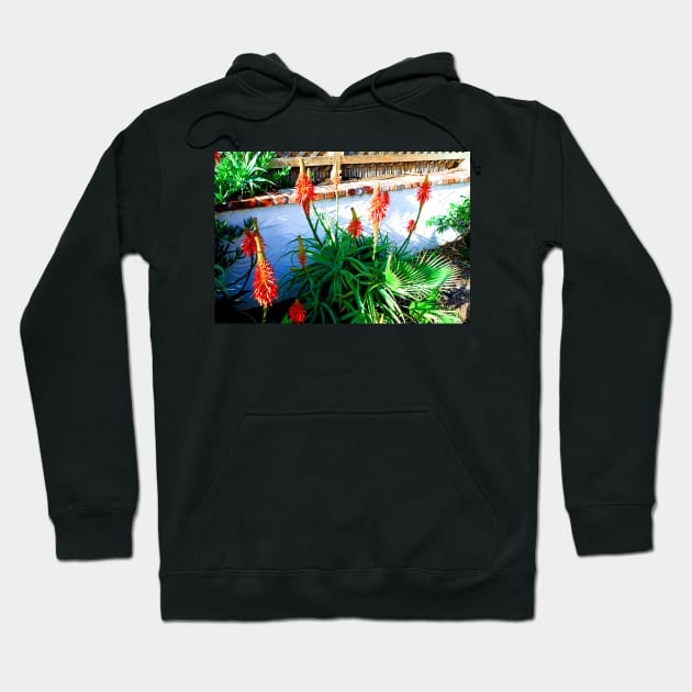 Aloe in Bloom Hoodie by bobmeyers